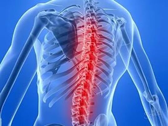 болезнь позвоночника вызывает боли в спине