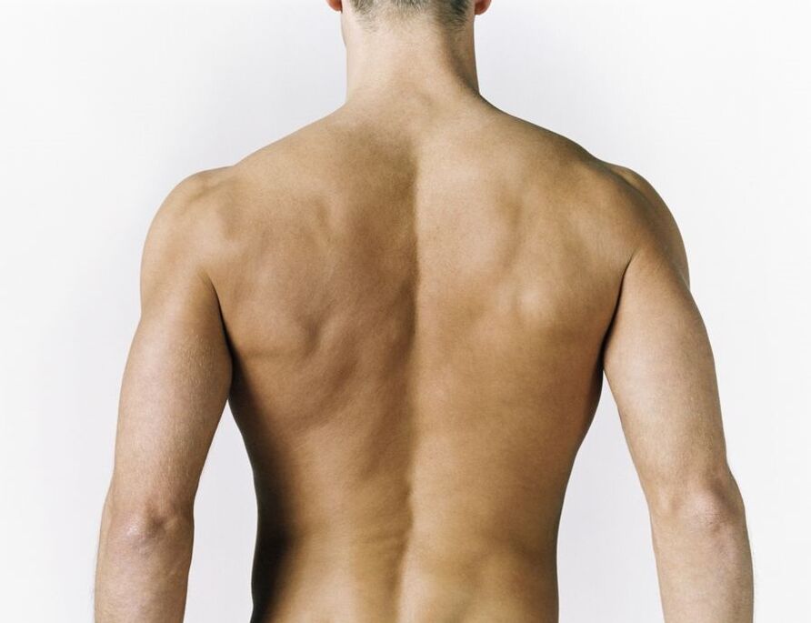 воспаление мышц спины как причина боли между лопатками